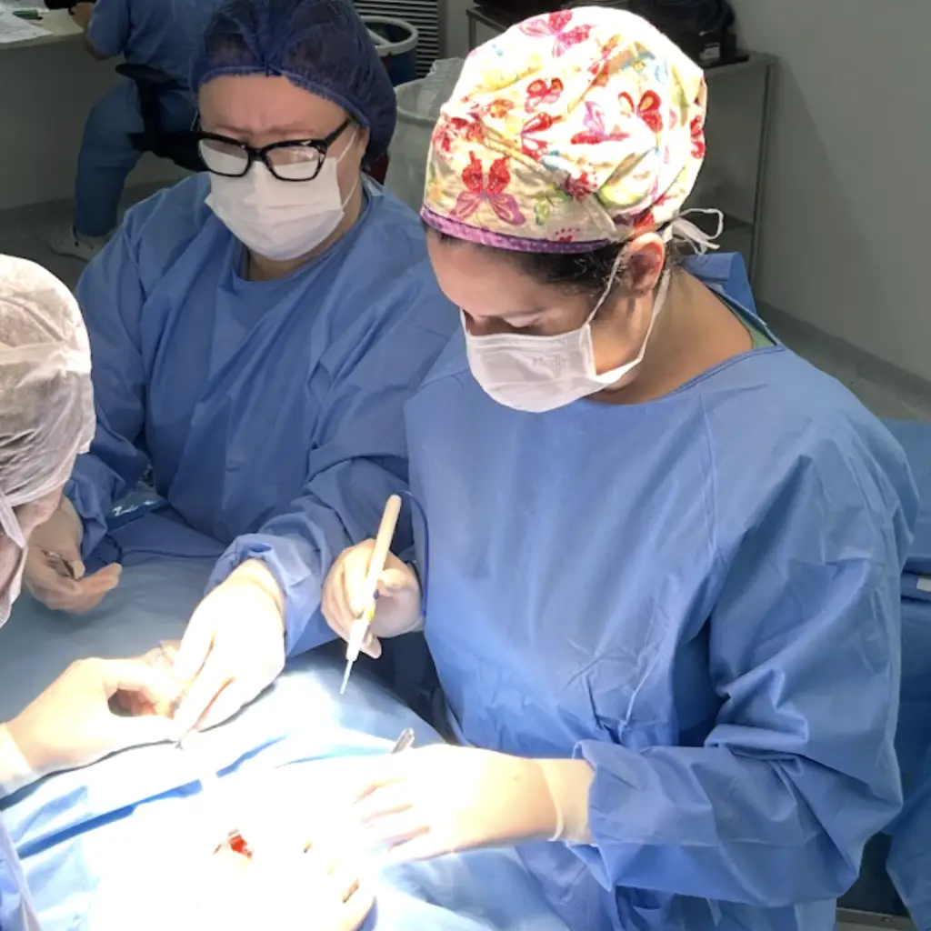 Mostra a cirurgiã em campo operatório, realizando uma Cirurgia de tireoide ou Tireoidectomia